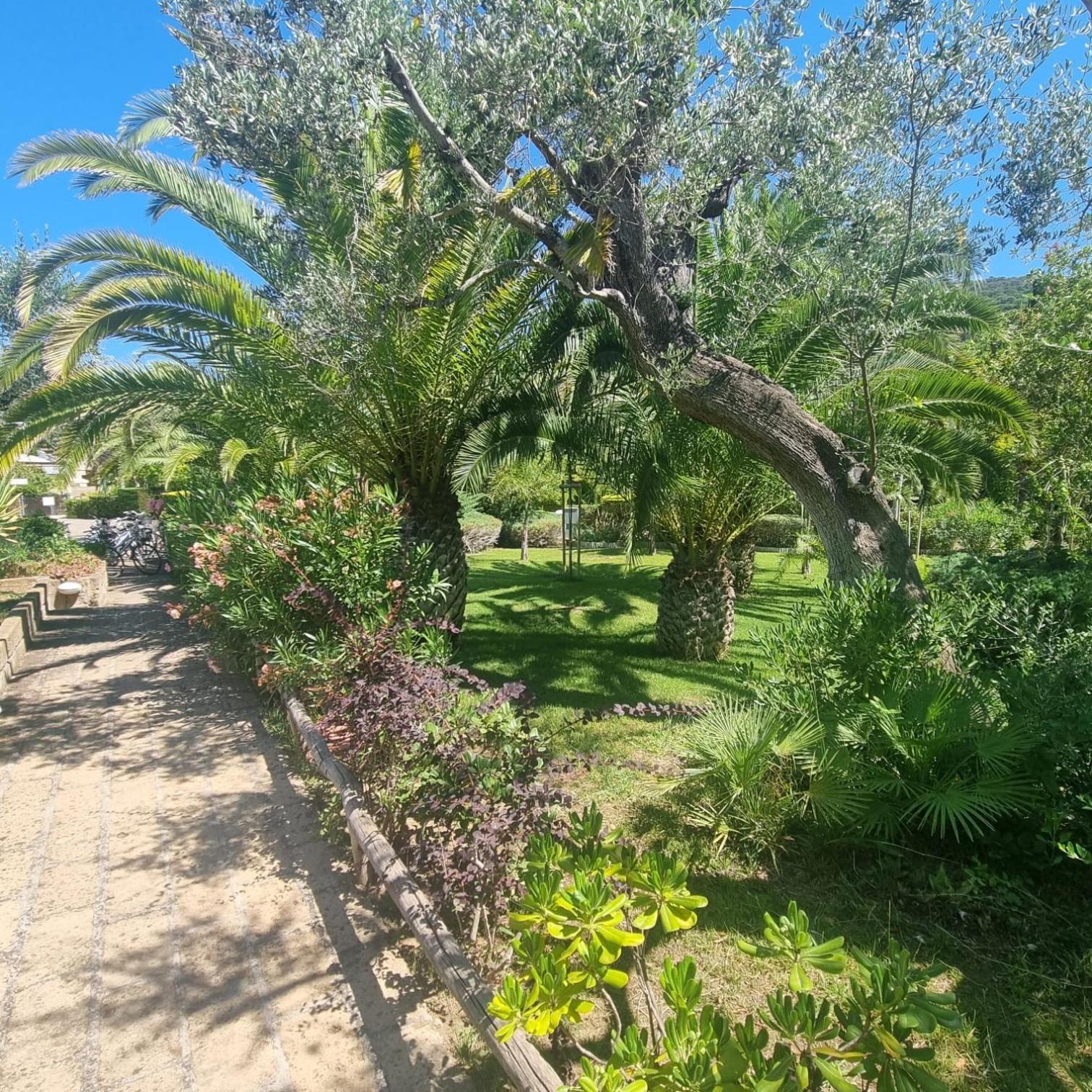 Residence Solemaremma Castiglione della Pescaia Bagian luar foto