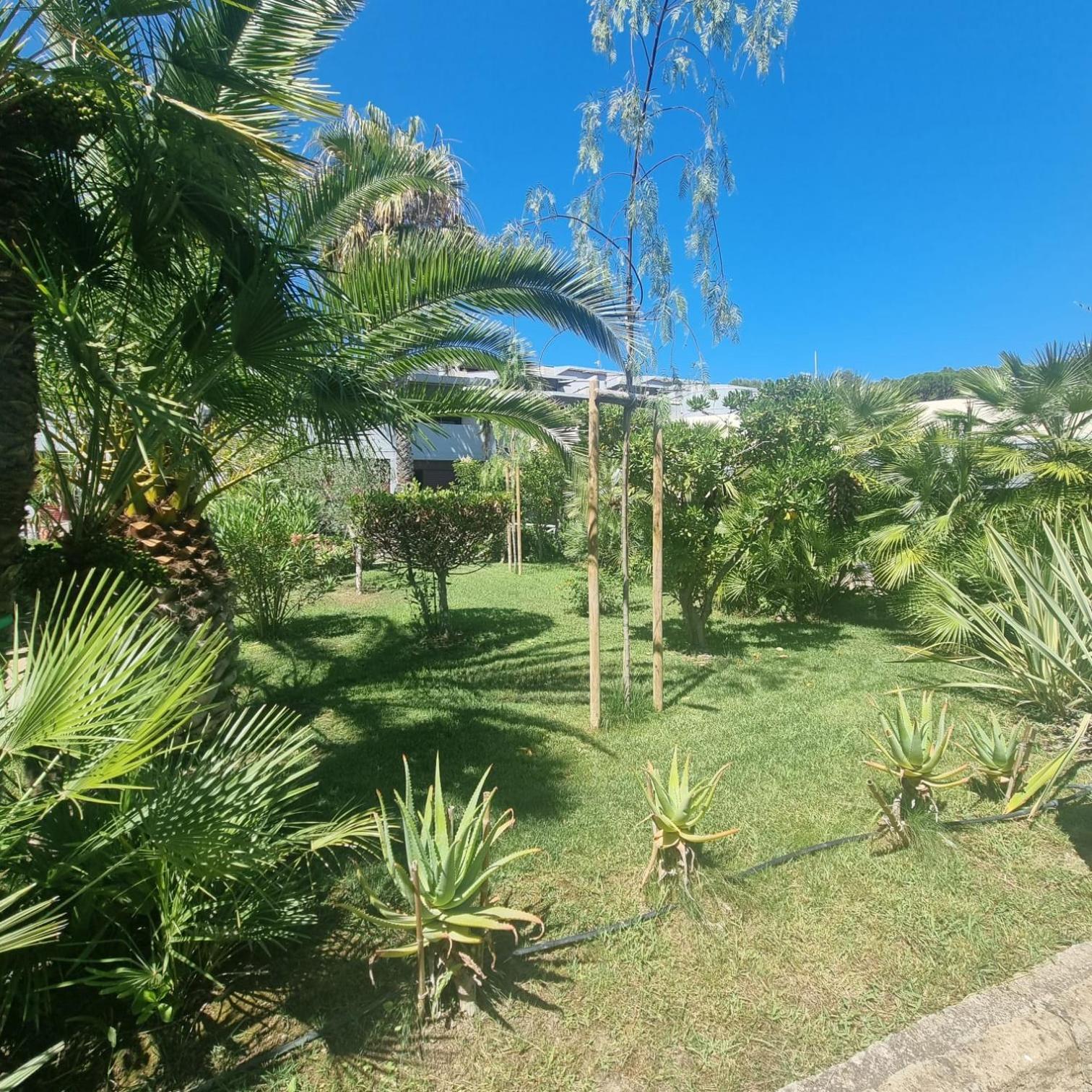 Residence Solemaremma Castiglione della Pescaia Bagian luar foto